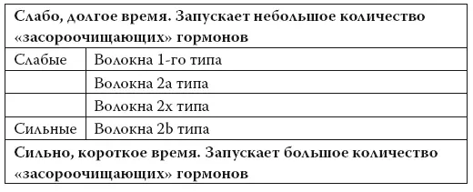 Подобно тому как сильные крупные ножные мышцы помогают нам сжигать больше - фото 66