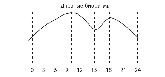 Внутри единиц основных биологических ритмов дня недели года - фото 41
