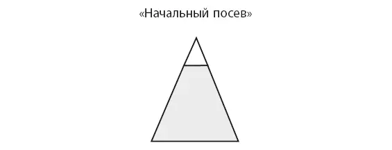 Первая стадия начальный посев ТМидеиОсновные задачи стадии вызвать у - фото 65