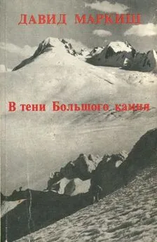 Давид Маркиш - В тени Большого камня [Роман]