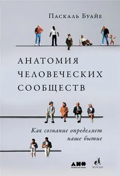 Паскаль Буайе - Анатомия человеческих сообществ [Как сознание определяет наше бытие] [litres]