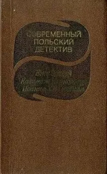 Иоанна Хмелевская - Современный польский детектив