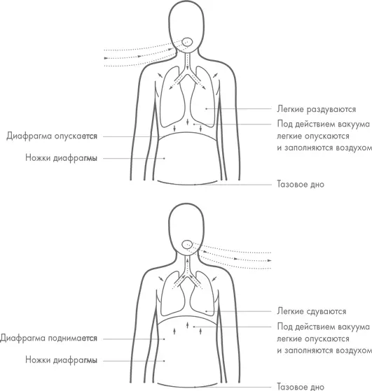 СОВЕТПрокрастинируете Сделайте три стимулирующих вдоха глубоко вдохните - фото 9