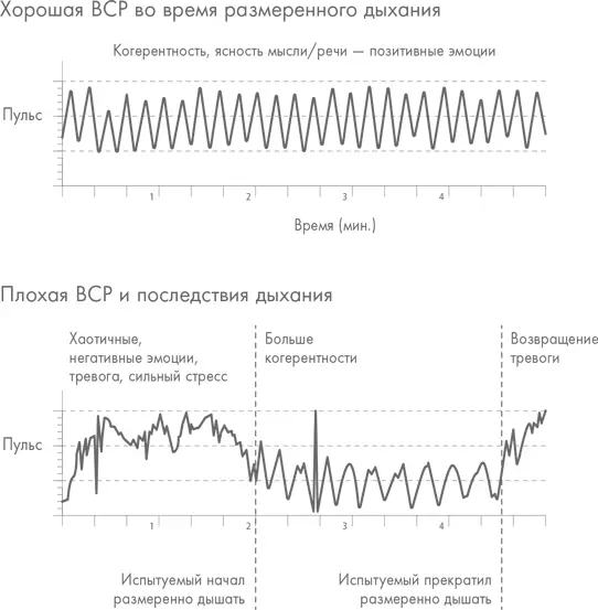 Если бы мы просканировали мозг южноафриканских банкиров в период когда их - фото 10
