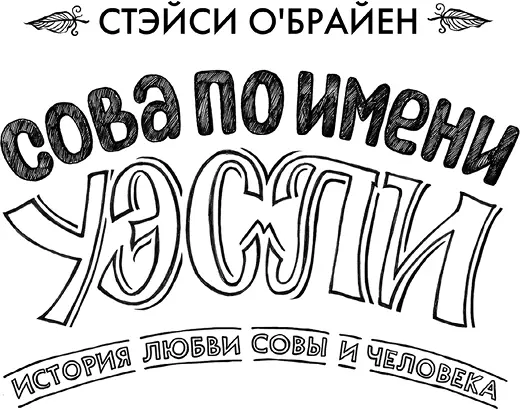 Эта книга невероятно добрая трогательная захватывающая и очень научная - фото 1