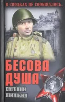 Евгений Шишкин - Бесова душа