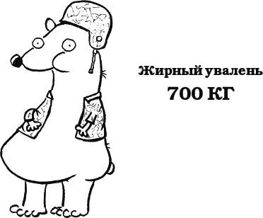 Куда там наш толстяк наотрез отказался худеть Поэтому когда мы пришли в - фото 137