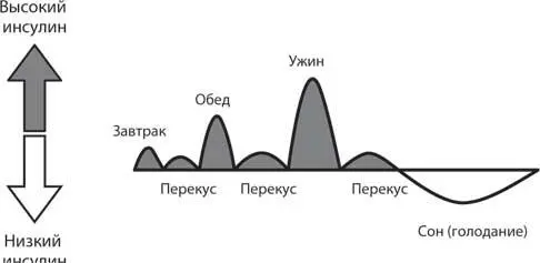 Рис 102 Выброс инсулина при многоразовом питании с перекусами В Америке - фото 22