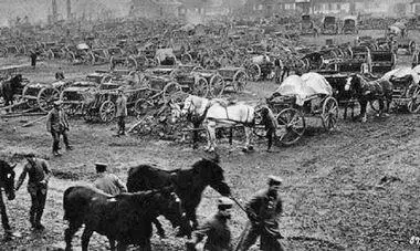 Обозы ХХ корпуса захваченные германцами в м Сопоцкин Фото 1915 г - фото 124
