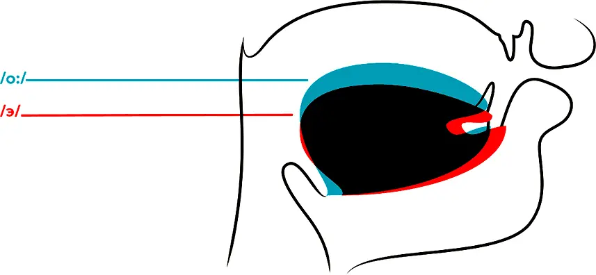 Позиция языка для мягкого о синим цветом и длинного э красным цветом - фото 136