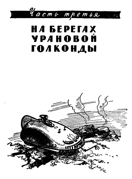 На болоте Болото на Венере Это представлялось межпланетникам абсурдным - фото 15