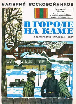 Валерий Воскобойников - В городе на Каме