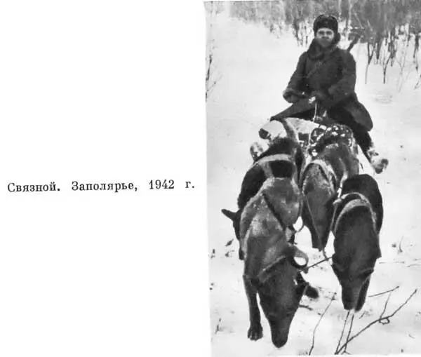 Связной Заполярье 1942 г Бои в Новороссийске 1942 г В минуту затишья - фото 124