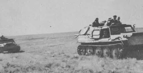 Прямоугольники превратились в вездеходы Каменьпалетка у реки Тальмаю - фото 45