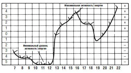 Сетка определения продуктивного времени День первыйвпишите - фото 19