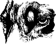 Рис 55 Овальные глаза Округлые глазаCircular eyes Характеристика - фото 55