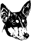Рис 243 Дынные семечки бассенджи СЕРДЦЕВИДНЫЕ УШИHeartshaped ears См - фото 238