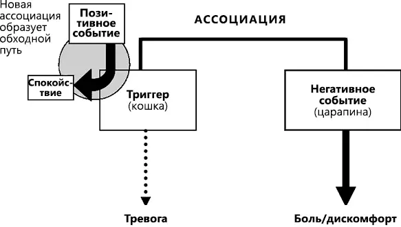 Рис 7 Создание новой нервной связи На этот раз мы связываем кошку не с - фото 21
