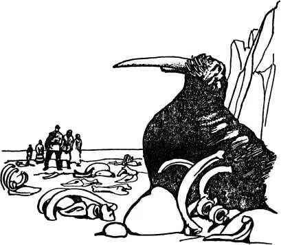 Сколько ни собирали биармины мертвого моржового зуба но его много осталось - фото 136