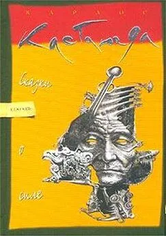 Карлос Кастанеда - Сказки о силе