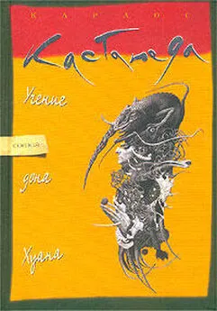 Карлос Кастанеда - Учение дона Хуана: Путь знаний индейцев Яки