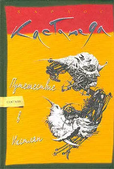 Карлос Кастанеда - Путешествие в Икстлан