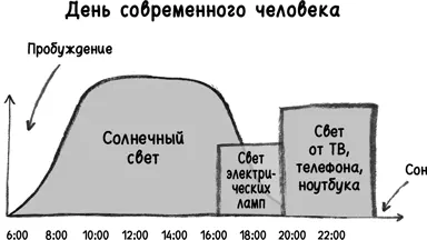 Мы не первыми указываем на эту проблему Людям годами твердят что в постели не - фото 120