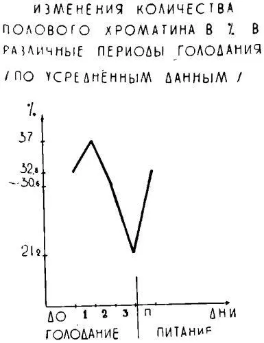 Как видно из этого графика количество полового хроматина в III периоде - фото 162