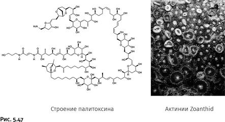 После того как оно было получено стало возможным менять отдельные детали его - фото 269