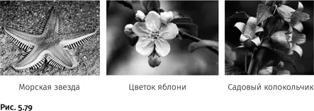 Все это приводит к мысли что возможно квазикристаллы представляют собой - фото 293