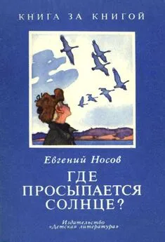 Евгений Носов - Где просыпается солнце? [Рассказы]