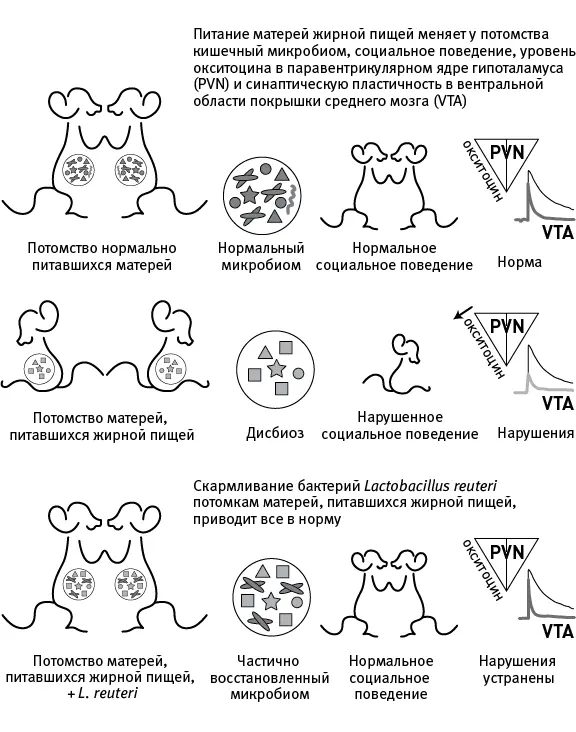 рис 221Графическое резюме исследования продемонстрировавшего влияние - фото 82