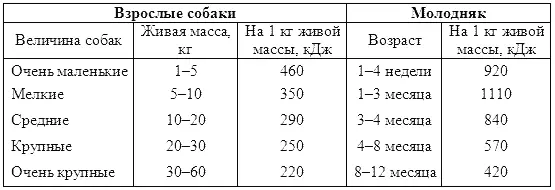 Потребность в белкеБелок собакам необходим для построения белка и - фото 59