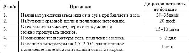 В первой половине щенности соблюдается обычный режим сук Их можно дрессировать - фото 73