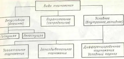 Рис 43 Виды торможения Возбуждение и торможение две неразрывно связанные - фото 81