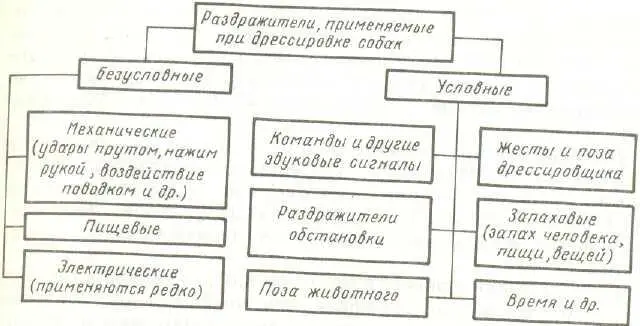 Рис 52 Раздражители применяемые при дрессировке собак Безусловные - фото 90