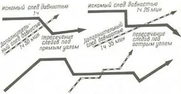 Рис 106 Пересечение запахового следа другими следами Если собака теряет - фото 143