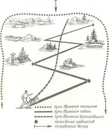 Рис 108 Приучение собаки к обыску местности На следующих занятиях условия - фото 145
