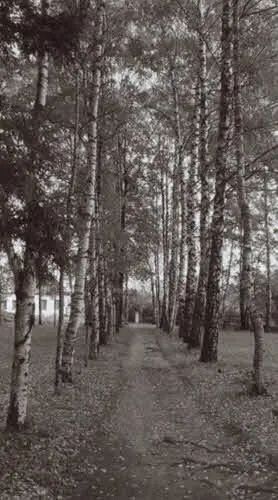 Аллея верхнего парка Вид на восточный флигель с северозапада Лето 1902 г - фото 53