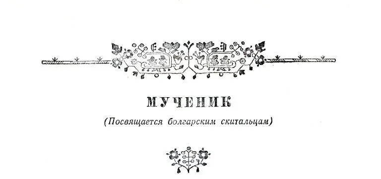 МУЧЕНИК Посвящается болгарским скитальцам Велик огромен ДиарБекир 50 - фото 4