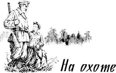 На охоте Однажды вечером дедушка Егор сказал Видел я диких уток на пруду - фото 6