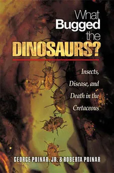 Джордж Пойнар - Кто кусал динозавров?