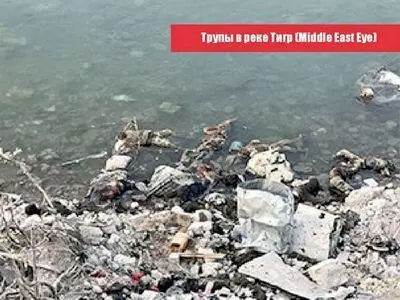Трупы в реке Тигр Middle East Eye КОНФЛИКТ СОЮЗНИКОВ Различные политические - фото 105
