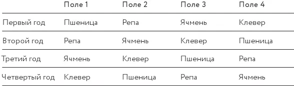 При такой системе севооборота одинаковую поддержку получает и земля и ее - фото 32