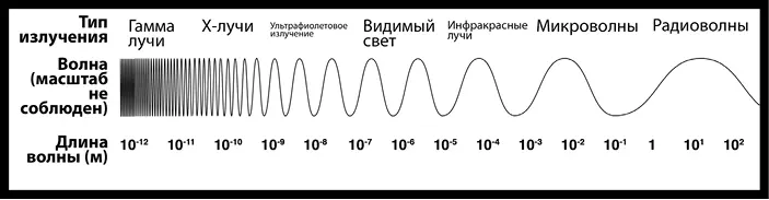 Рис 40Спектр электромагнитного излучения На том конце шкалы что отвечает за - фото 70