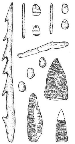 Костяной гарпун украшения наконечники стрел эпохи неолита Каждое племя - фото 4