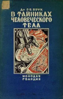 Григорий Брук - В тайниках человеческого тела