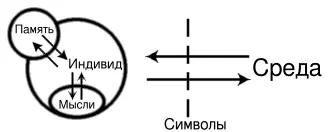 На рисунке памятьобозначает хранимые нейронные связи мозга мысли рефлексии и - фото 2