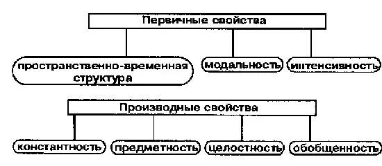 Схема 6 Эмпирические характеристики перцептивного образа В первую из них - фото 14