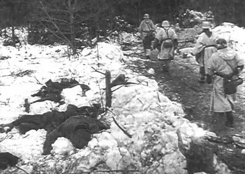 Потери войск Красной армии в лесных боях были чрезвычайно велики А немецкие - фото 63